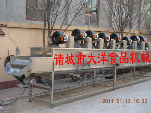 食品風干設(shè)備 諸城市大洋食品機械廠