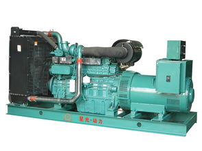 品牌好的福州通柴柴油發(fā)電機(jī)組租賃在福州哪里可以買(mǎi)到 星光通柴柴油發(fā)電機(jī)代理