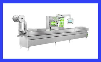 帶你了解真空包裝機(jī)